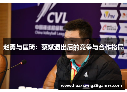 赵勇与匡琦:蔡斌退出后的竞争与合作格局