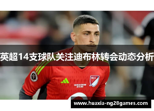 英超14支球队关注迪布林转会动态分析 英超14支球队关注迪布林转会动态分析