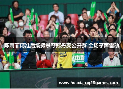 陈雨菲精准后场劈杀夺冠丹麦公开赛 全场掌声雷动